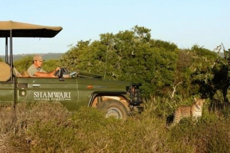 Shamwari Game Reserve Port Elizabeth Luaran gambar